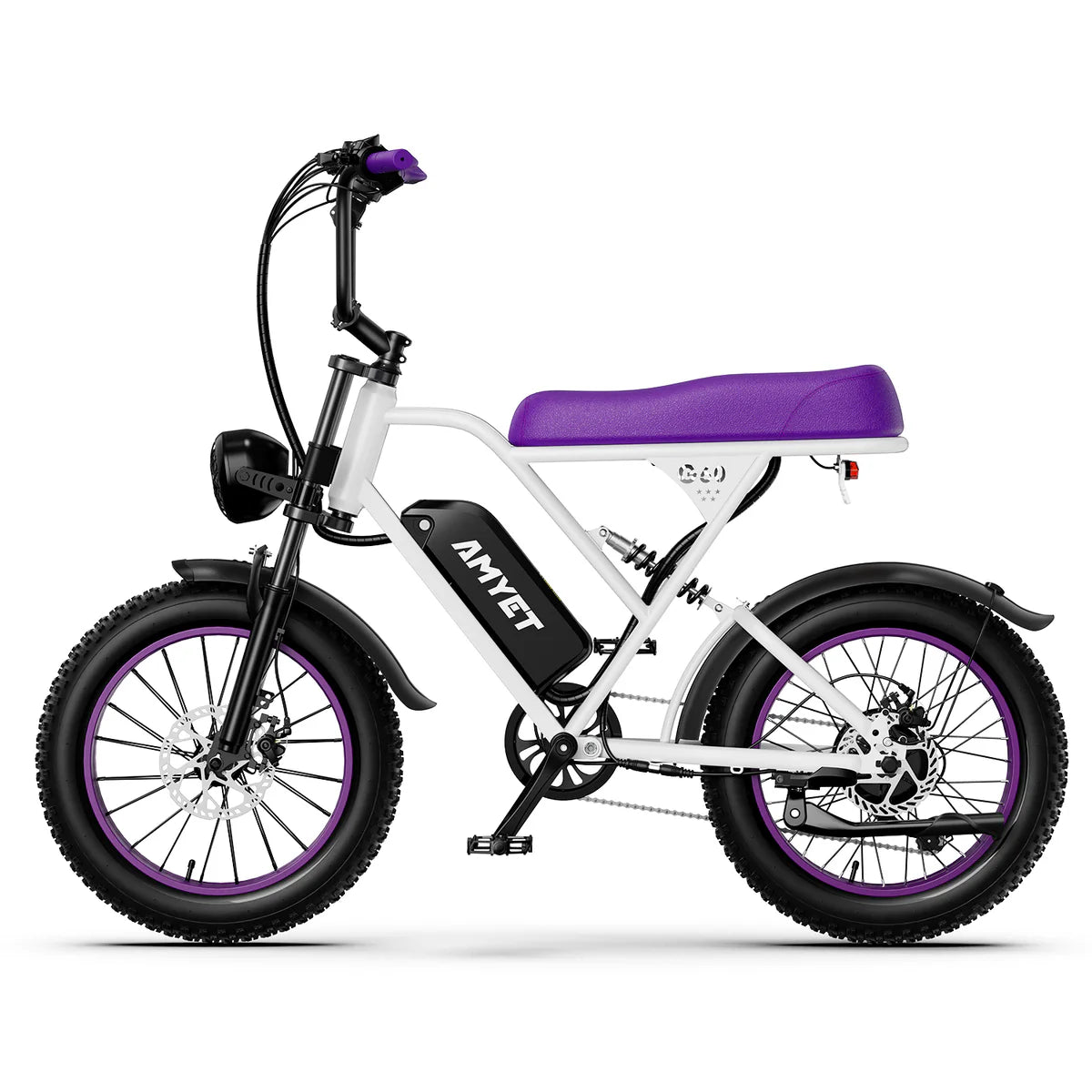 AMYET V9 - G60 1000W 20Ah Electric Bike