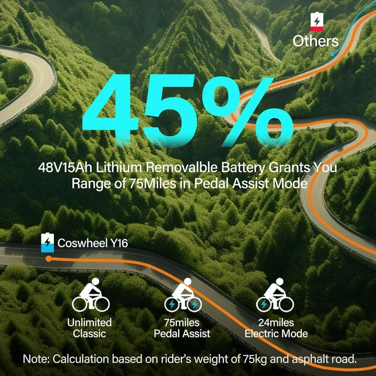 COSWHEEL Y16 EBIKE