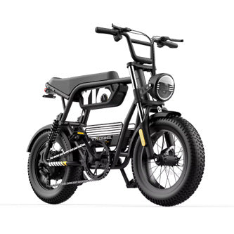 COSWHEEL Y16 EBIKE