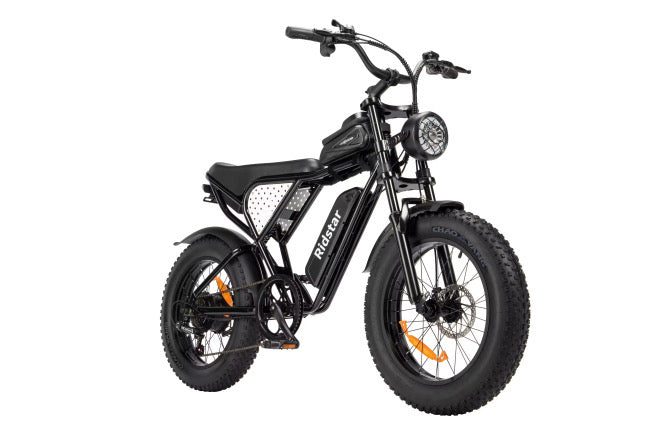 Ridstar Q20 Mini Electric Bike 20" Tires 1000W Motor 48V 15Ah Battery