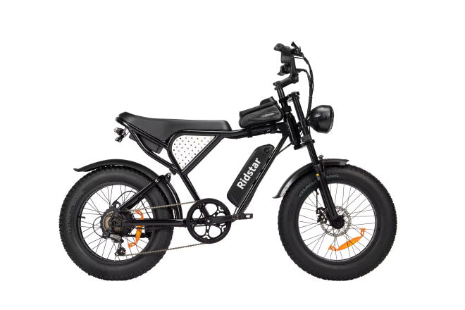 Ridstar Q20 Mini Electric Bike 20" Tires 1000W Motor 48V 15Ah Battery