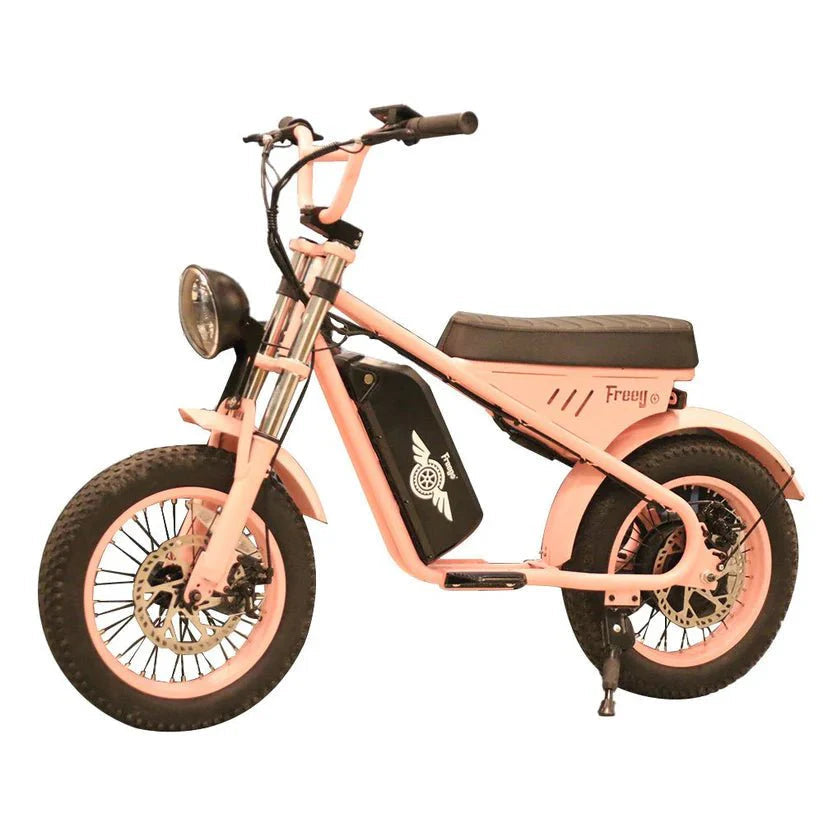 FREEGO M1 Electric E-Moto Style Electric Mini Bike Fat Tire