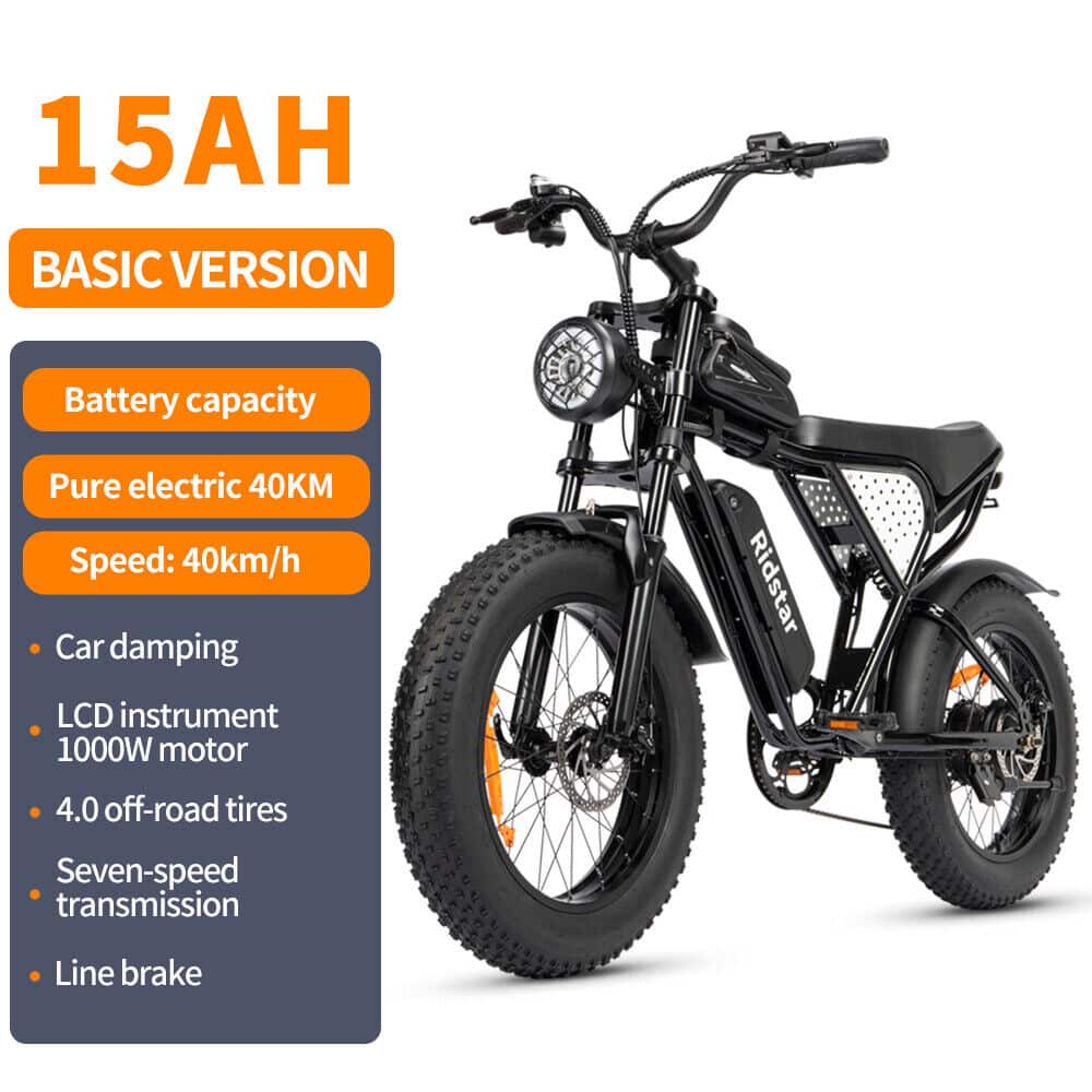 Ridstar Q20 Mini Electric Bike 20" Tires 1000W Motor 48V 15Ah Battery