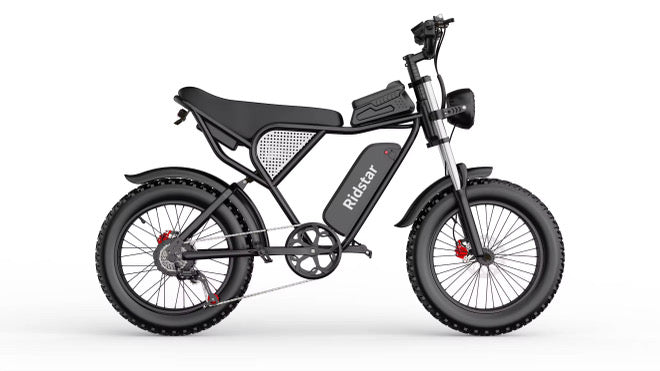 Ridstar Q20 for Adults, 1000W 20AH 30MPH Electric Bike 20'' Fat Tire Hydraulic Oil Disc Brakes Ebike