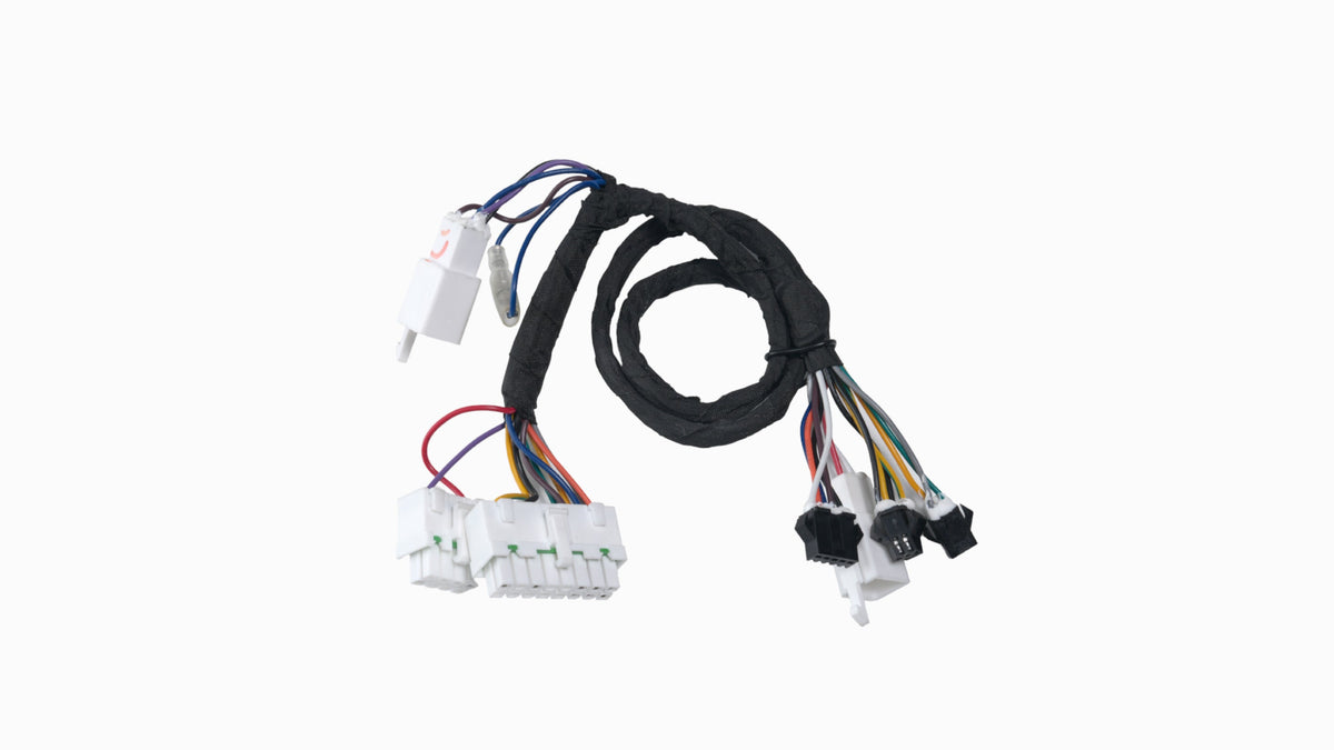 Phase I Main Harness