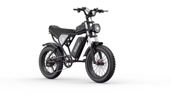 Ridstar Q20 for Adults, 1000W 20AH 30MPH Electric Bike 20'' Fat Tire Hydraulic Oil Disc Brakes Ebike