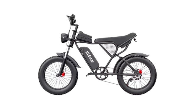 Ridstar Q20 for Adults, 1000W 20AH 30MPH Electric Bike 20'' Fat Tire Hydraulic Oil Disc Brakes Ebike