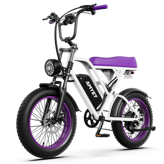 AMYET V9 - G60 1000W 20Ah Electric Bike